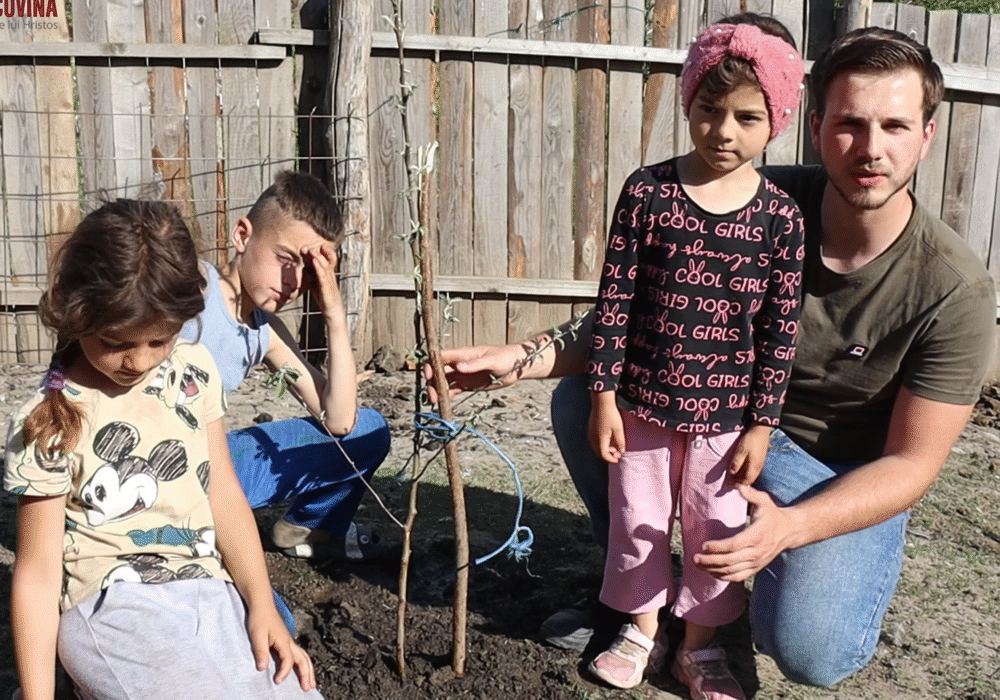 Captură de ecran 2025-07-23 185107