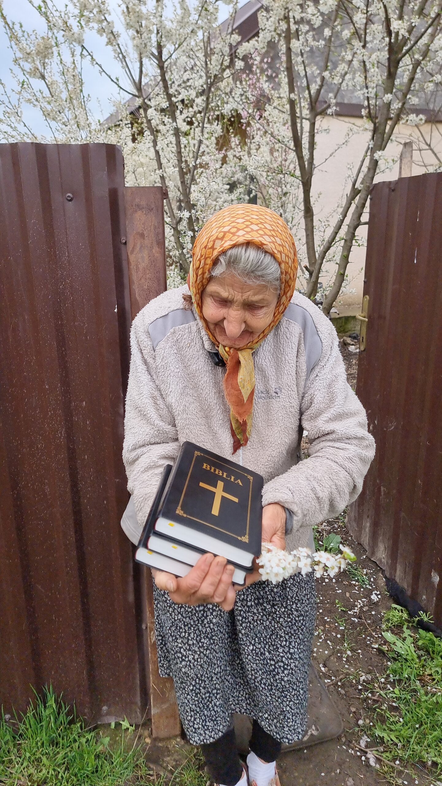 Biblia pentru fiecare
